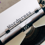 WordPress Theme Flaw